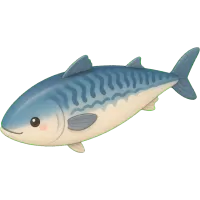 Swimming Mackerel