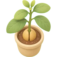 Tiny Avocado