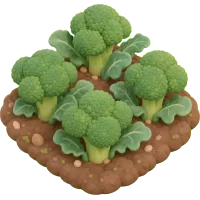 Tiny Broccoli Patch