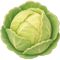 Tiny Cabbage