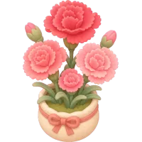 Tiny Carnation