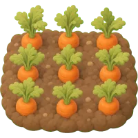 Tiny Carrot Patch