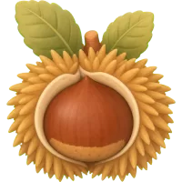 Tiny Chestnut