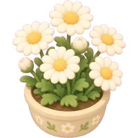 Tiny Daisy