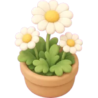 Tiny Daisy