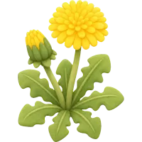 Tiny Dandelion