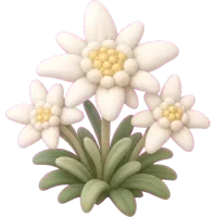 Tiny Edelweiss
