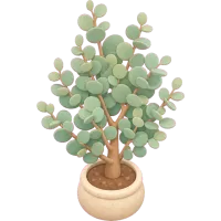 Tiny Eucalyptus