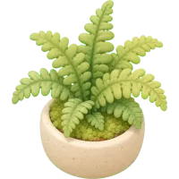 Tiny Fern