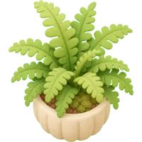 Tiny Fern