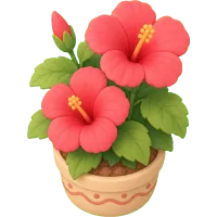 Tiny Hibiscus