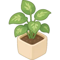 Tiny Houseplant