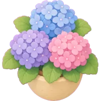 Tiny Hydrangea