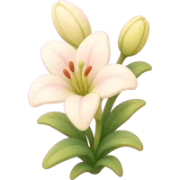 Tiny Lily