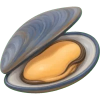 Tiny Mussel