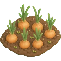 Tiny Onion Patch