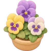 Tiny Pansy