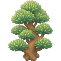 Tiny Pine