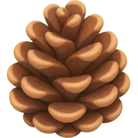 Tiny Pinecone