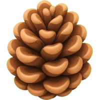 Tiny Pinecone