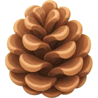 Tiny Pinecone