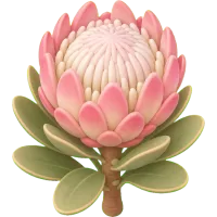 Tiny Protea
