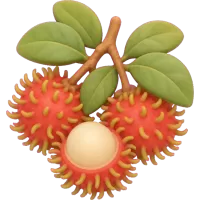 Tiny Rambutan