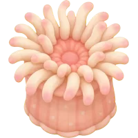 Tiny Sea Anemone
