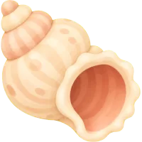 Tiny Seashell
