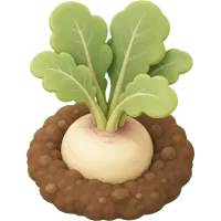 Tiny Turnip