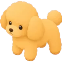 Toy Poodle