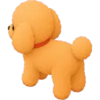Toy Poodle (Back)