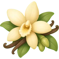 Vanilla Bloom