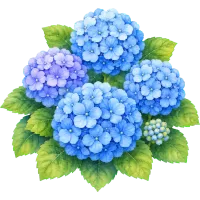 Watercolor Blue Hydrangeas