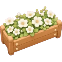 White Blossom Box