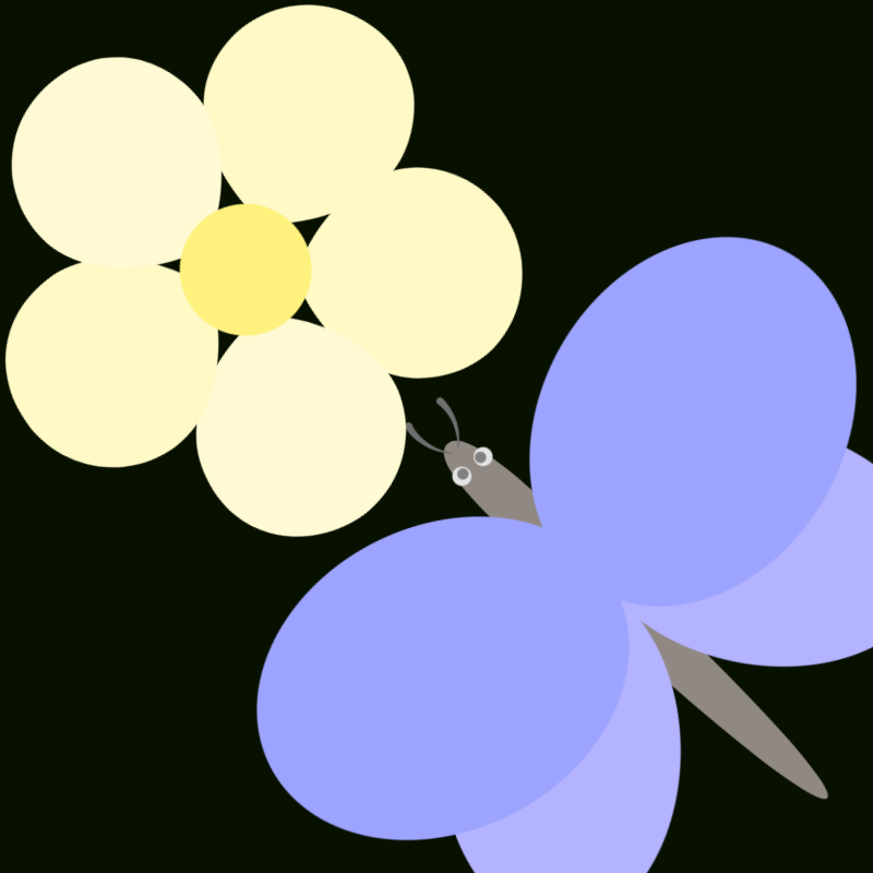 夢見る花と蝶の舞