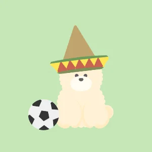 サッカー犬のソンブレロ旅